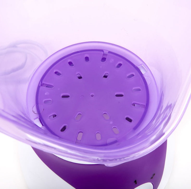 Hot-selling ion hot spray steamer Home steam beauty instrument Louisiana Mart