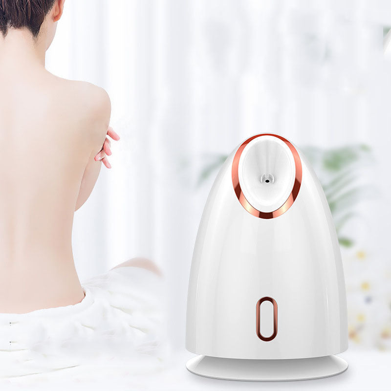 Nano Thermal Spray Moisturizing Face Steamer Louisiana Mart