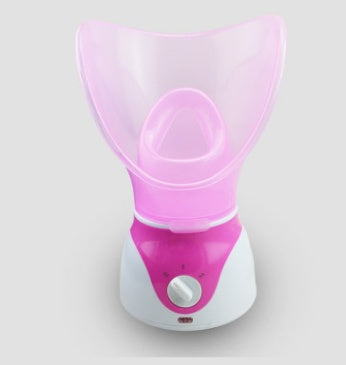 Hot-selling ion hot spray steamer Home steam beauty instrument Louisiana Mart