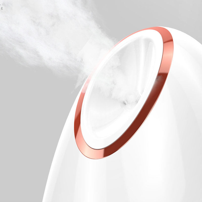 Nano Thermal Spray Moisturizing Face Steamer Louisiana Mart