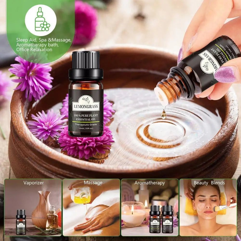 Single Essential Oil Set 10ml Single Essential Oil Plant Aroma Tea Tree Louisiana Mart
