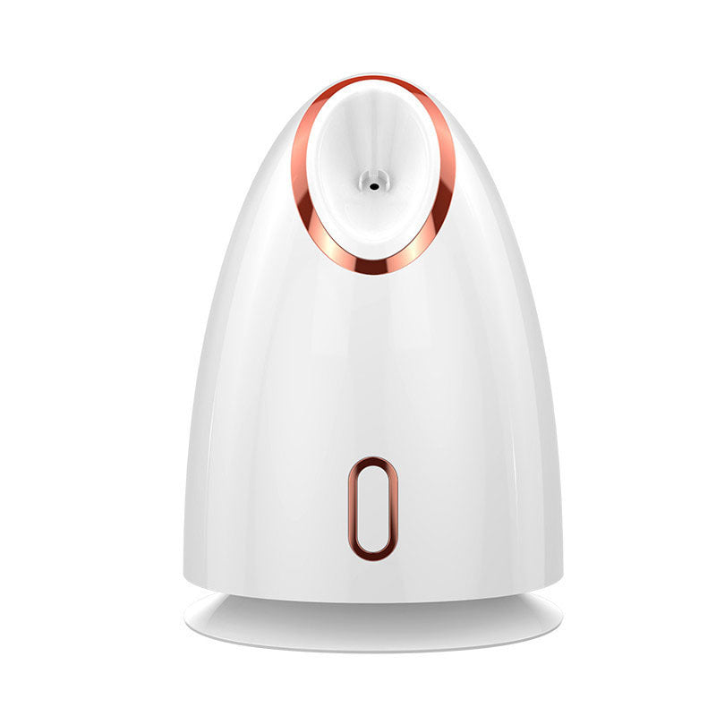 Nano Thermal Spray Moisturizing Face Steamer Louisiana Mart