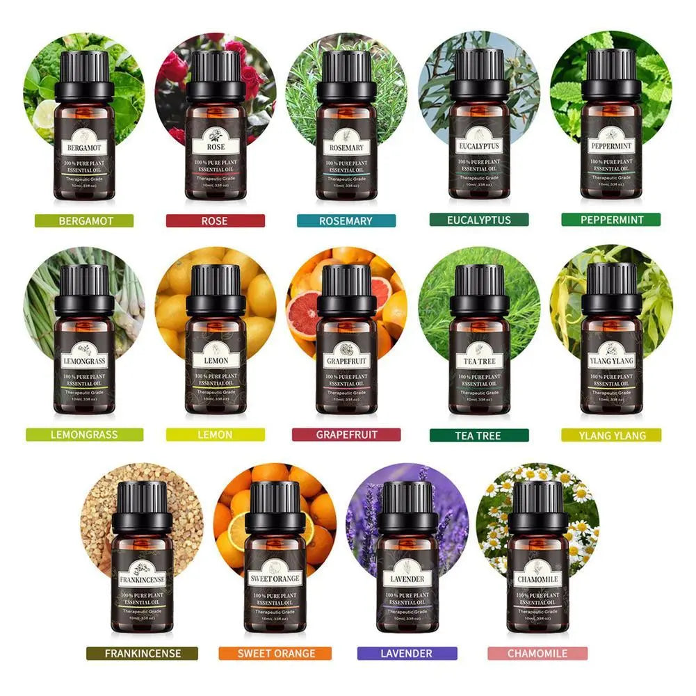 Single Essential Oil Set 10ml Single Essential Oil Plant Aroma Tea Tree Louisiana Mart