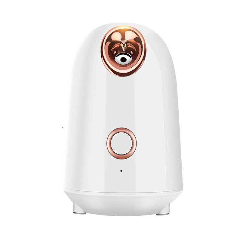 Nano Thermal Spray Moisturizing Face Steamer Louisiana Mart