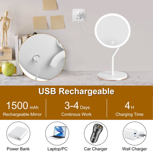 Magnifying lighted makeup mirror