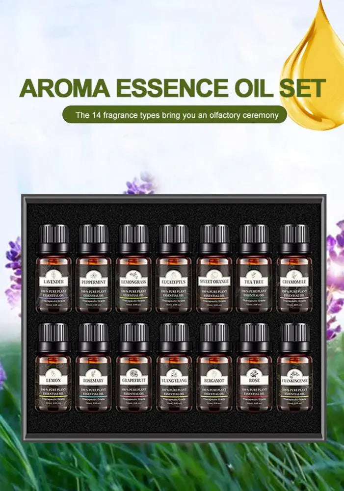 Single Essential Oil Set 10ml Single Essential Oil Plant Aroma Tea Tree Louisiana Mart