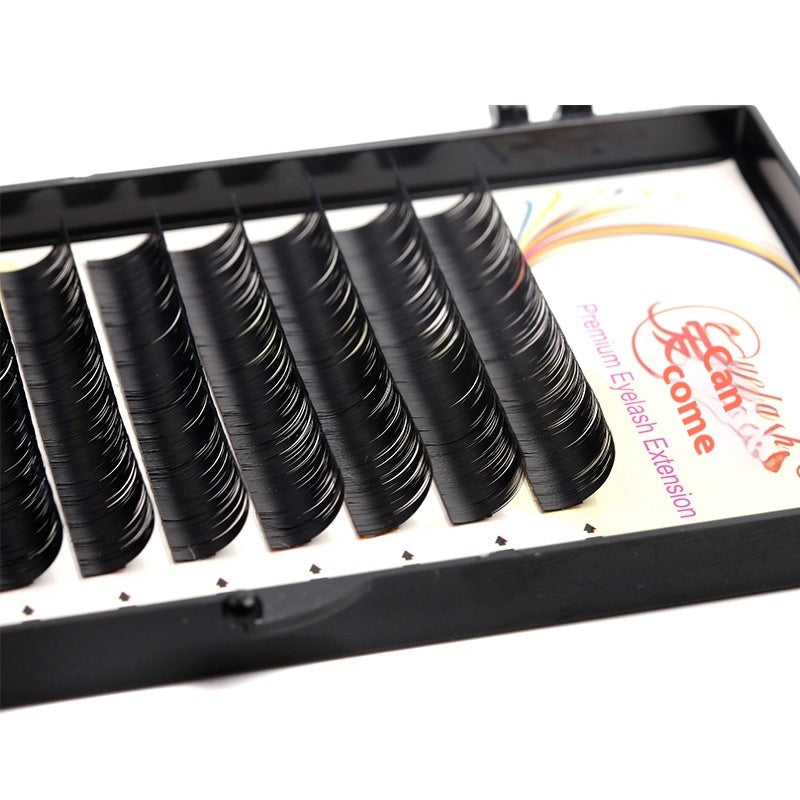 Natural False Eyelashes – Premium Korea Silk Volume Lashes Louisiana Mart