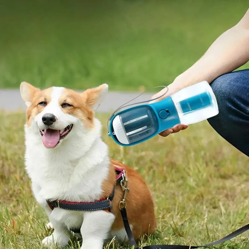 Pet Toys