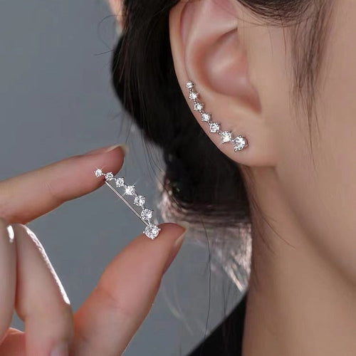 Special Interest Earrings Autumn And Winter High-grade Earrings