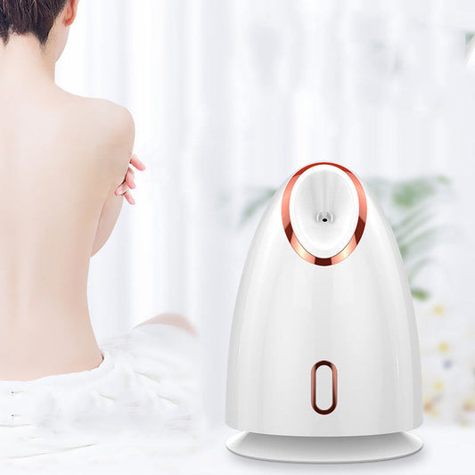 Nano Thermal Spray Moisturizing Face Steamer Louisiana Mart