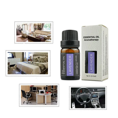 Aromatherapy Candle, Essential Oil, Ginger, Wormwood, Rose Sandalwood Essential Oil, Fragrant, Single Plant Oil, Fragrance Box. Louisiana Mart