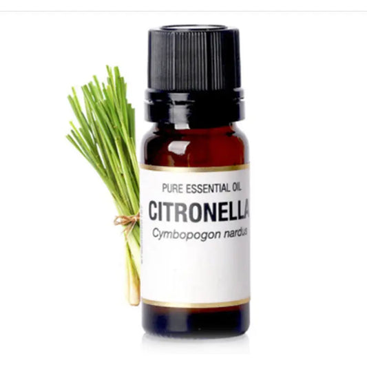 Lemongrass Essential Oil Louisiana Mart