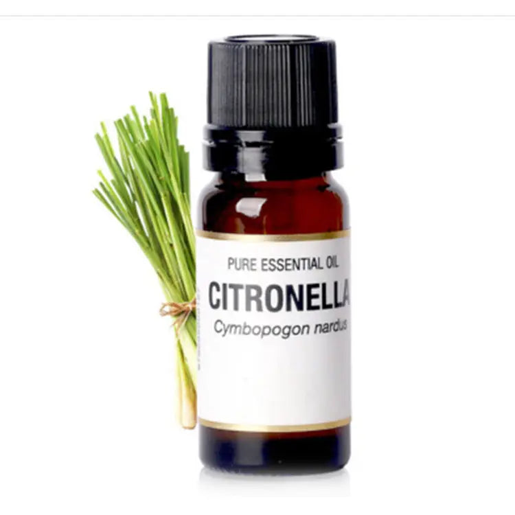Lemongrass Essential Oil Louisiana Mart