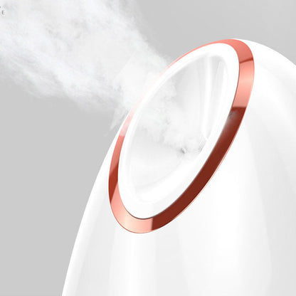 Nano Thermal Spray Moisturizing Face Steamer Louisiana Mart