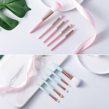 Beginner makeup 5 brush