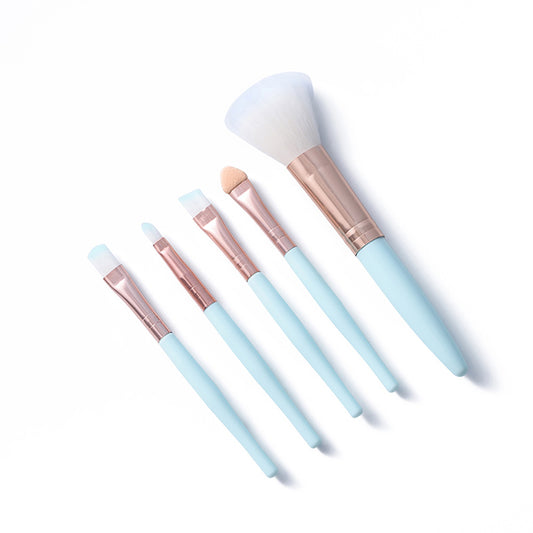Beginner makeup 5 brush