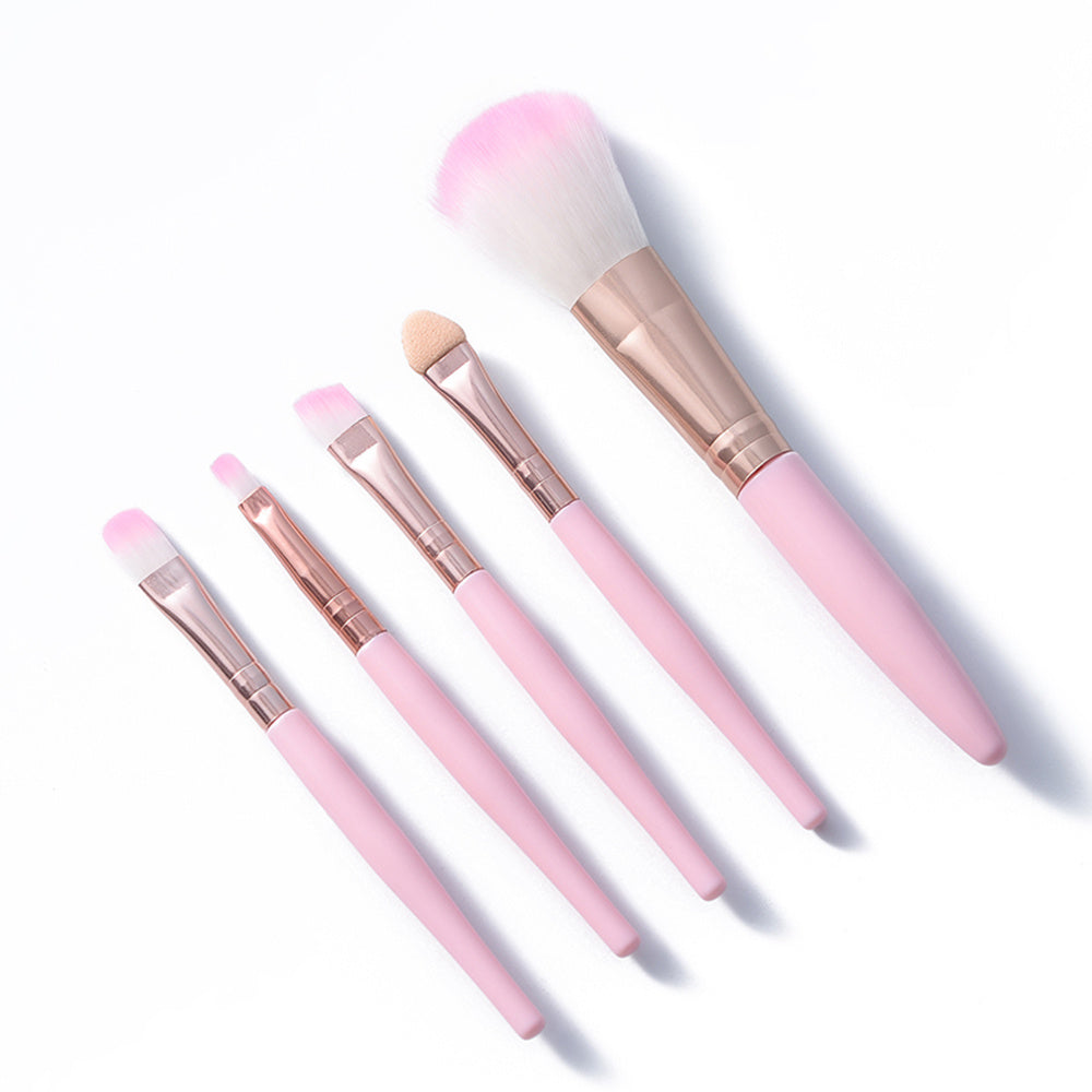 Beginner makeup 5 brush