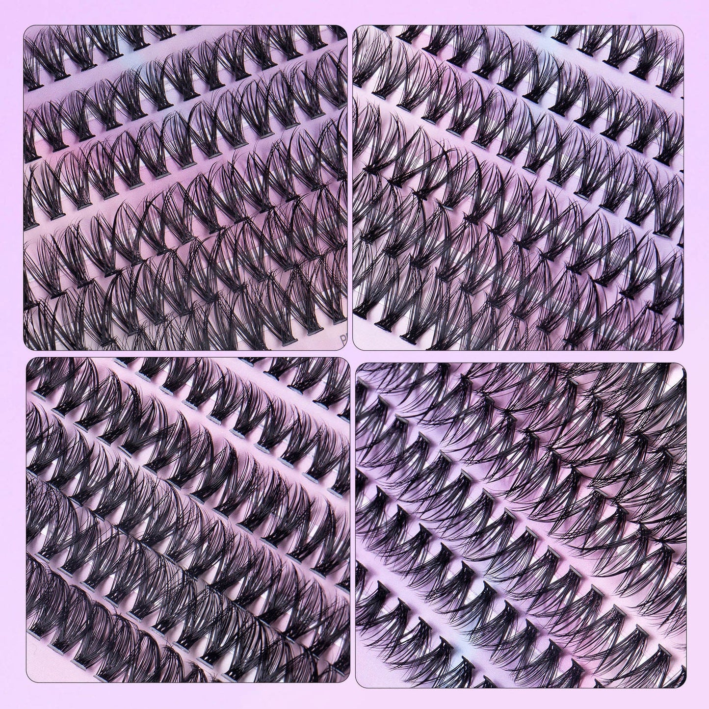12 Rows Of 30D Plus 40D Clusters Of 240 Segmented Lashes Set