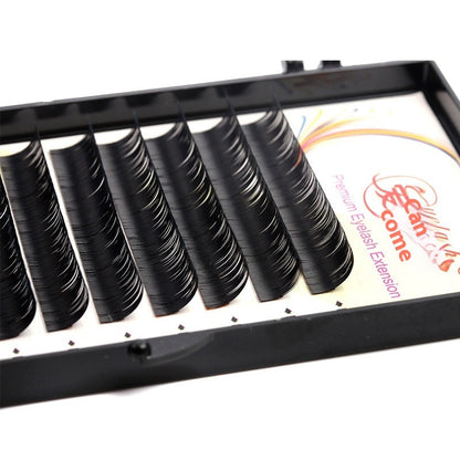 Natural False Eyelashes – Premium Korea Silk Volume Lashes Louisiana Mart